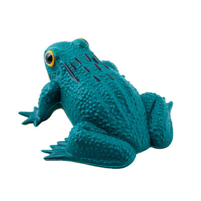 Kurbağa Mühresi Kullanım Alanları