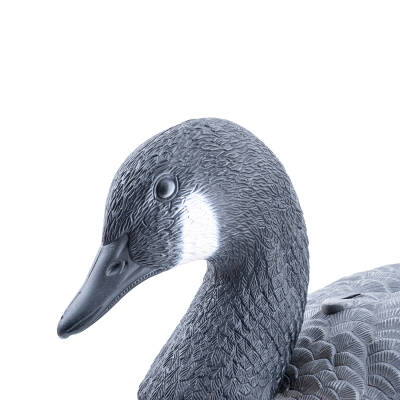 Kaz Mühresi Detaylı İnceleme