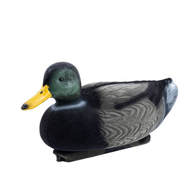 Yeşil Baş Ördek Mühresi Detay