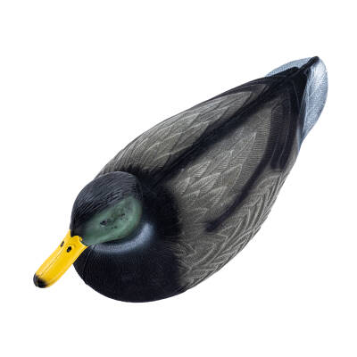 Ördek Avı Mühre Kullanımı