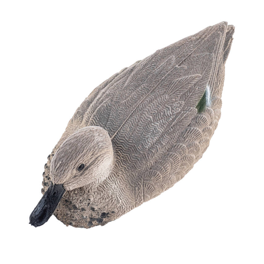 Bahri Ördek Mühresi - Tüylü - Dişi - Yüzen Mühre - Savage - HD 026R - 4