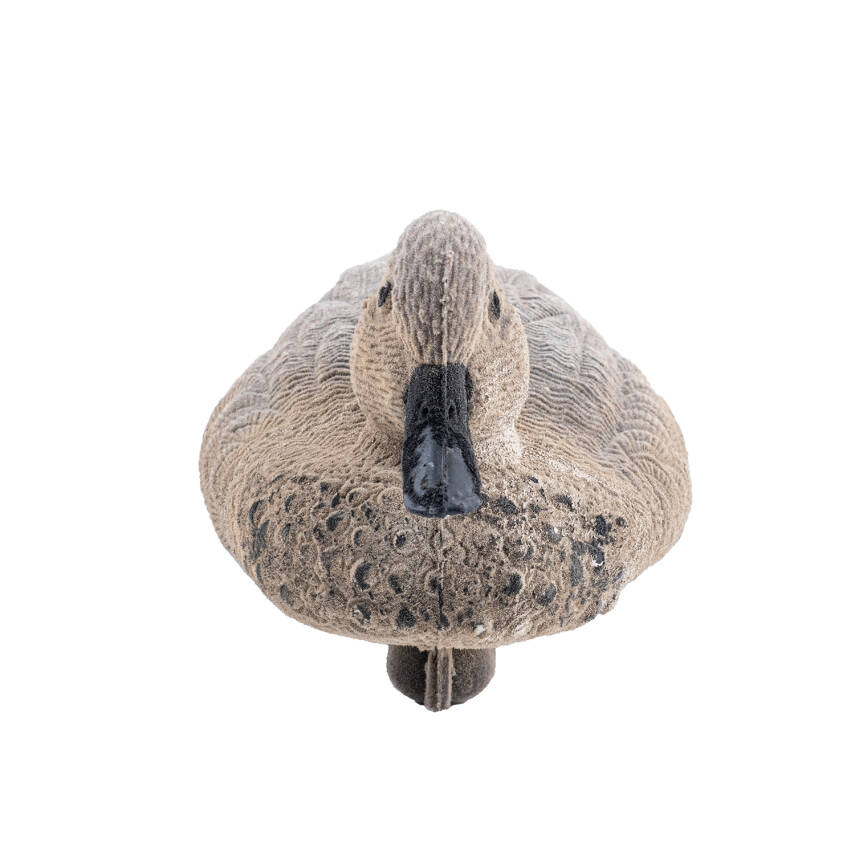 Bahri Ördek Mühresi - Tüylü - Dişi - Yüzen Mühre - Savage - HD 026R - 5