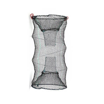 Bauer T0008-9 İp Pinter 40x80: Yüksek Performanslı Yaylı Pinter