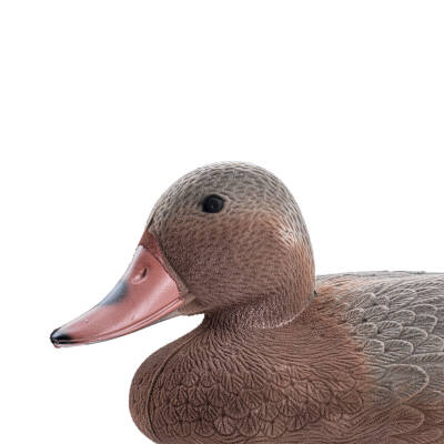 Boz Ördek Mühresi - Tüylü - Dişi - Yüzen Mühre - Savage - HD 027R - 3