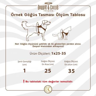 Cattie Havalı Dokuma Kedi Göğüs & Gezdirme Takımı Pembe 1*25-35 cm - 3