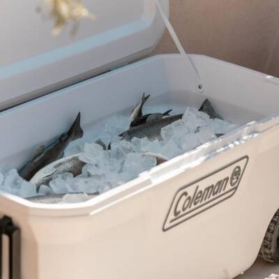 Coleman Xtreme Wheeled 100 QT Beyaz Tekerlekli Buzluk