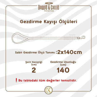 Doggie Konfor Dokuma Gezdirme Kayışı Haki 2*140 Cm (DGZT-20) - 4