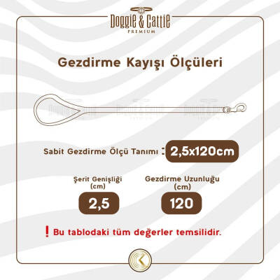 Doggie Konfor Dokuma Gezdirme Kayışı Kırmızı 2.5*120 Cm (DGZT-25) - 4