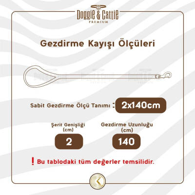 Doggie Konfor Dokuma Gezdirme Kayışı Kırmızı 2*140 Cm - 4