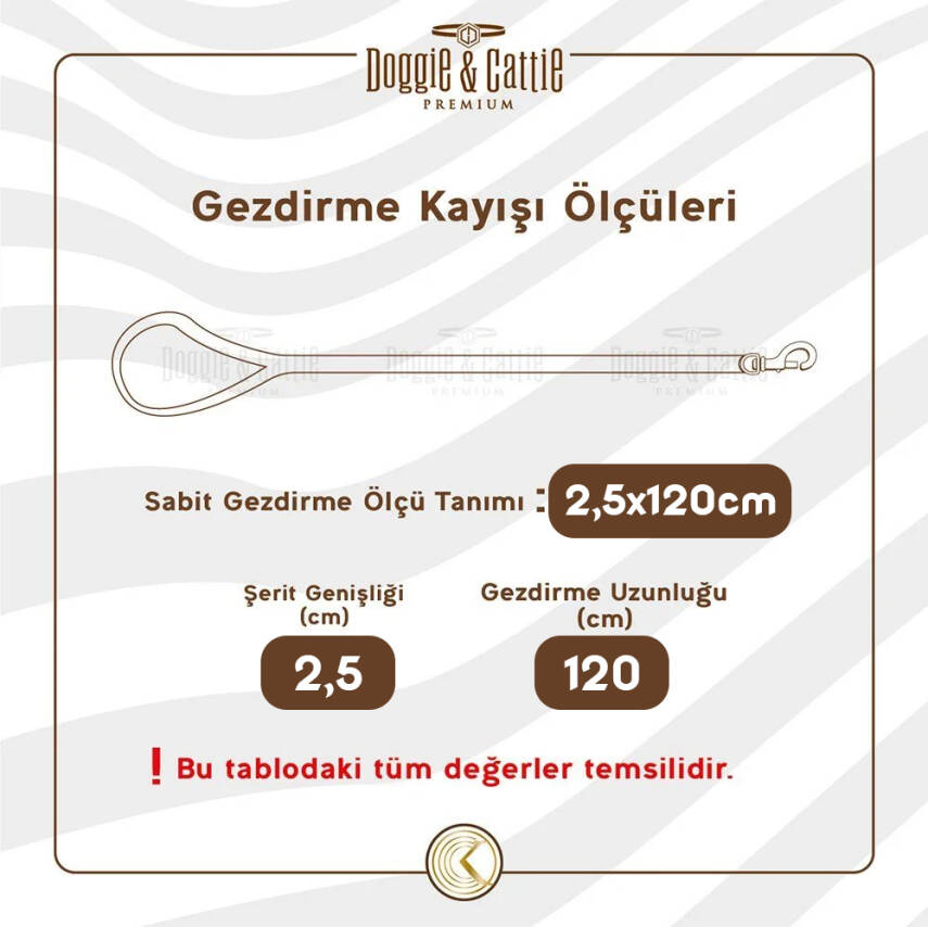 Doggie Konfor Dokuma Gezdirme Kayışı Royal Mavi 2.5*120 Cm - 4
