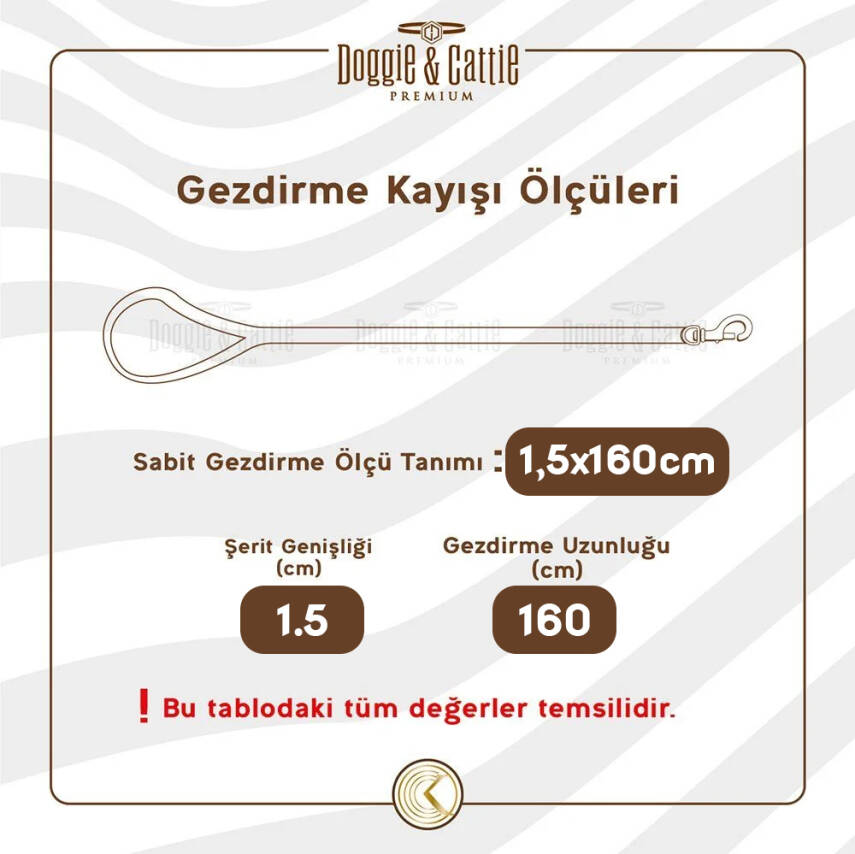 Doggie Konfor Dokuma Gezdirme Kayışı Turuncu 1.5*160 Cm - 4