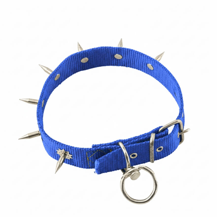 Dokuma Çivili Köpek Boyun Tasması - 4*70 cm - Mavi - 3