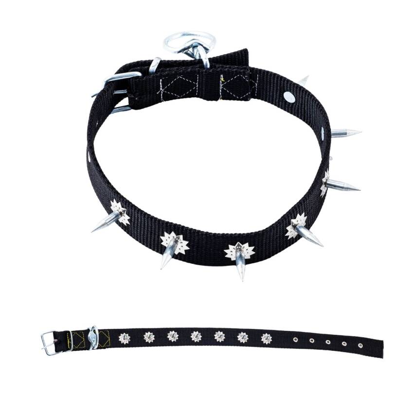 Dokuma Çivili Köpek Boyun Tasması - 4*70 cm - Siyah - 1