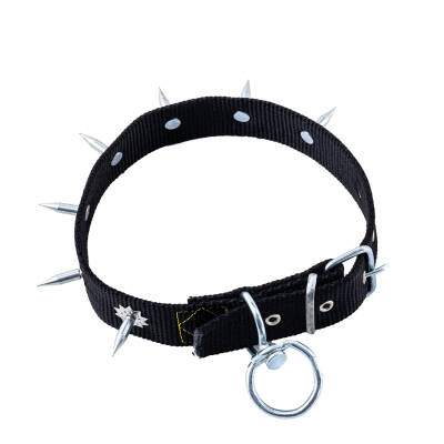 Dokuma Çivili Köpek Boyun Tasması - 4*70 cm - Siyah - 5