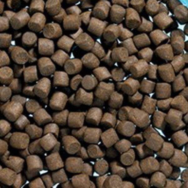 Fishack Alabalık Yemi - 4mm - 1 Kg: Balıklarınız İçin Yüksek Proteinli Beslenme - 1