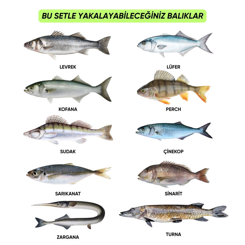 Fishack Spin 70 Parça Silikon Yem Seti - Yem Kutulu - At Çek Olta Yemleri - 3