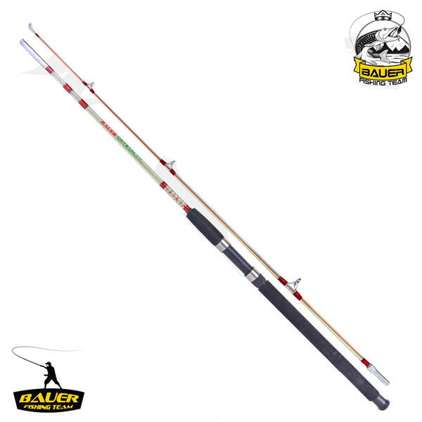 İki Parça Dolgu Olta Kamışı - Crystal - 120 cm 100/250 gr - Bauer - 1