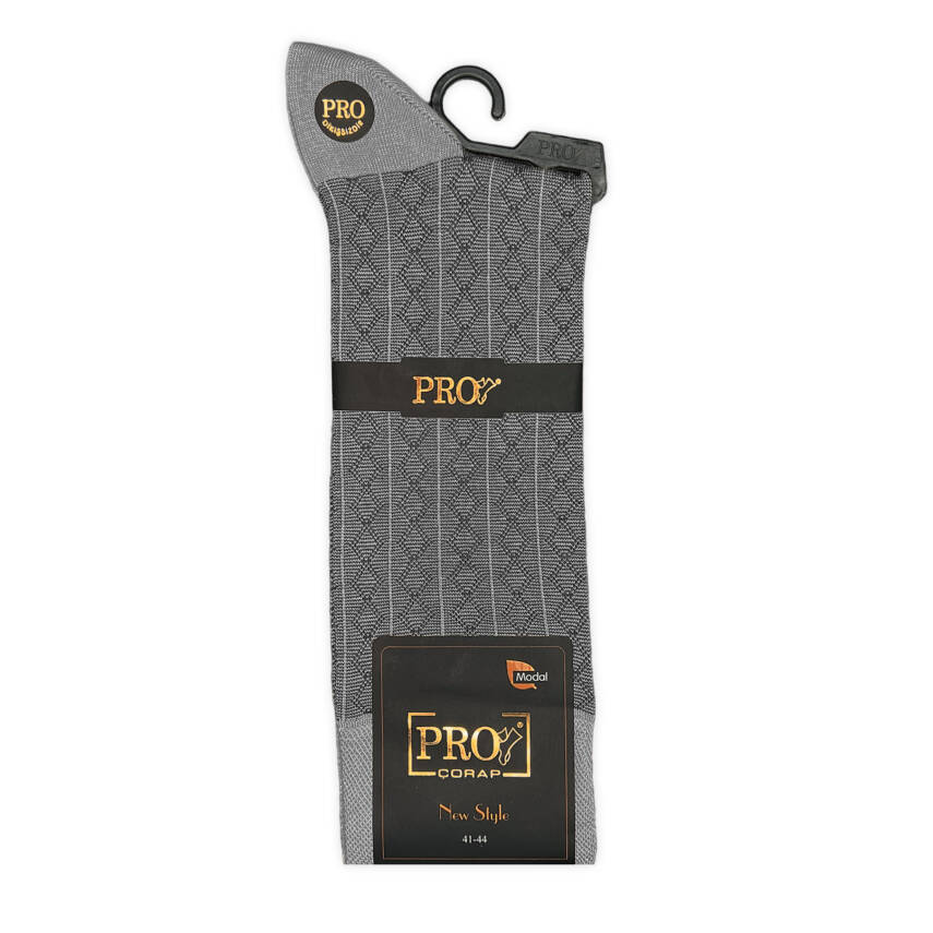 Pro Çorap Rambutan Modal Erkek Çorabı Kül Gri - 2