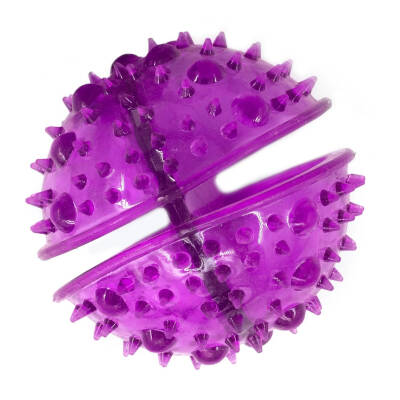 Royalist WB17059 Dayanıklı Köpek Aktivite Topu - Isırma ve Çiğneme Oyuncak