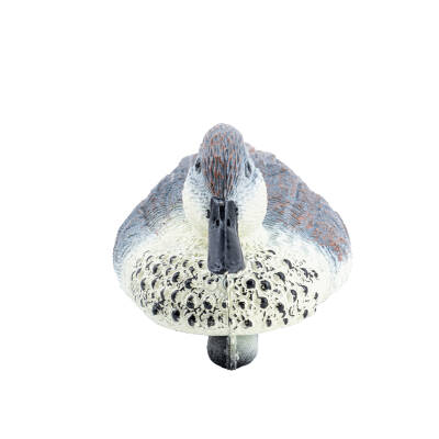 Bahri Ördek Mühresi - Dişi - Yüzen Mühre - Savage - HD 026 - 3