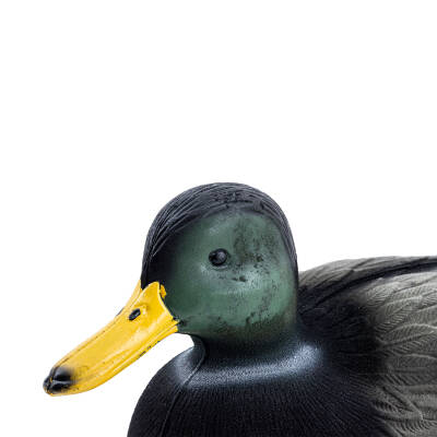 Savage HD 007R - Gerçekçi Tüylü Yeşil Kafa Erkek Ördek Av Mühresi - 5