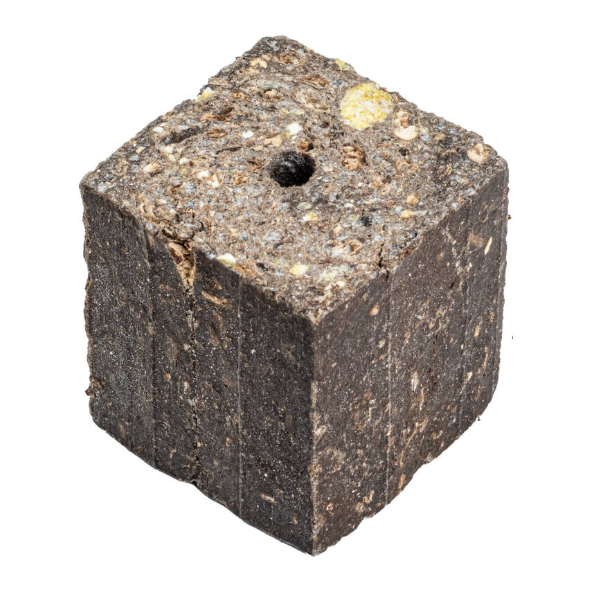 Sazan Yemi - Delikli Küspe - Ayçiçek - Kare - 1 KG Paket - 2