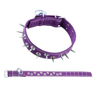 Savex Çivili Dokuma Mor Renkli Köpek Tasması - 5x80cm - Güvenli ve Şık