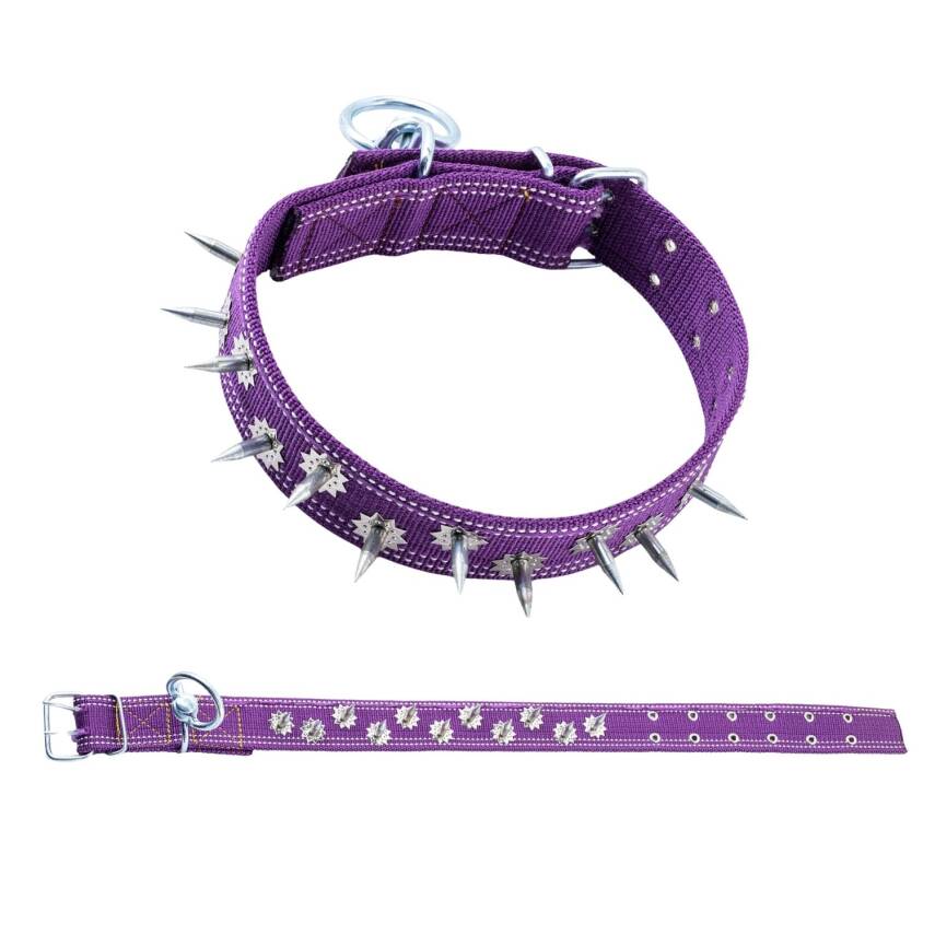 Savex Çivili Dokuma Mor Renkli Köpek Tasması - 5x80cm - Güvenli ve Şık - 1