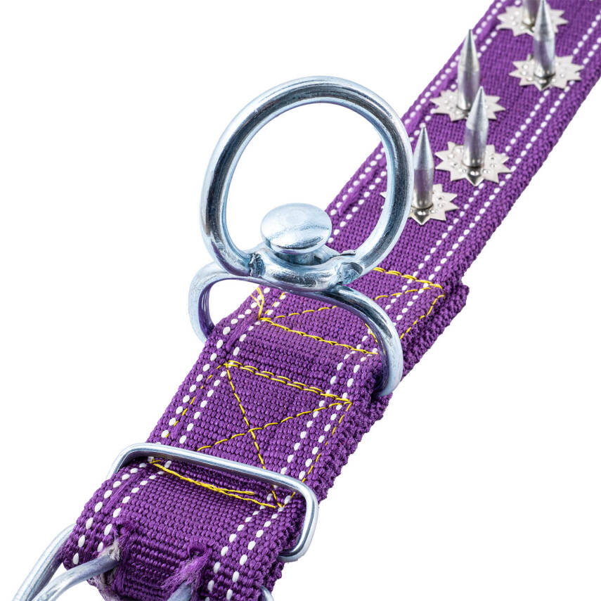 Savex Çivili Dokuma Mor Renkli Köpek Tasması - 5x80cm - Güvenli ve Şık - 3