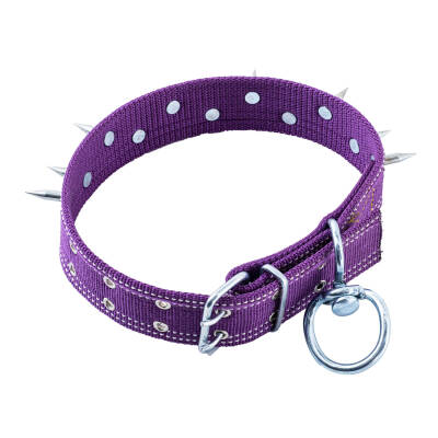 Savex Çivili Dokuma Mor Renkli Köpek Tasması - 5x80cm - Güvenli ve Şık - 5