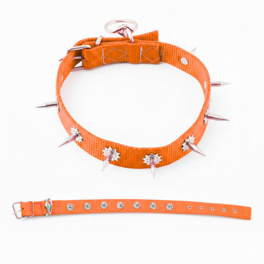 Savex Dokuma Çivili Köpek Boyun Tasması - 4x70 cm - Turuncu - 1