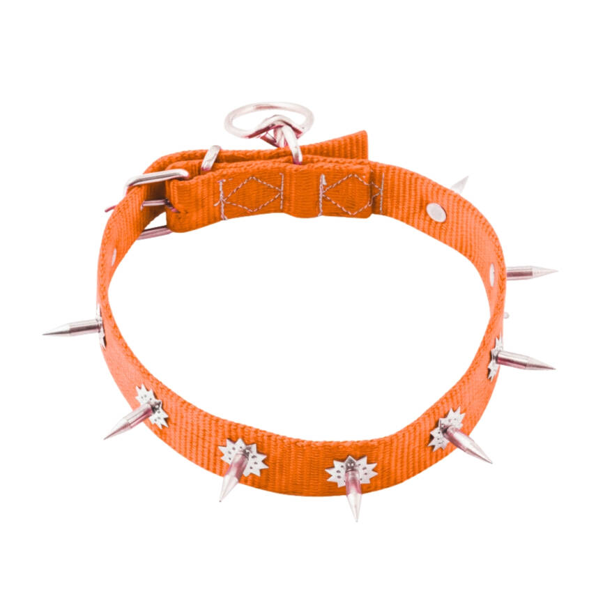Savex Dokuma Çivili Köpek Boyun Tasması - 4x70 cm - Turuncu - 2
