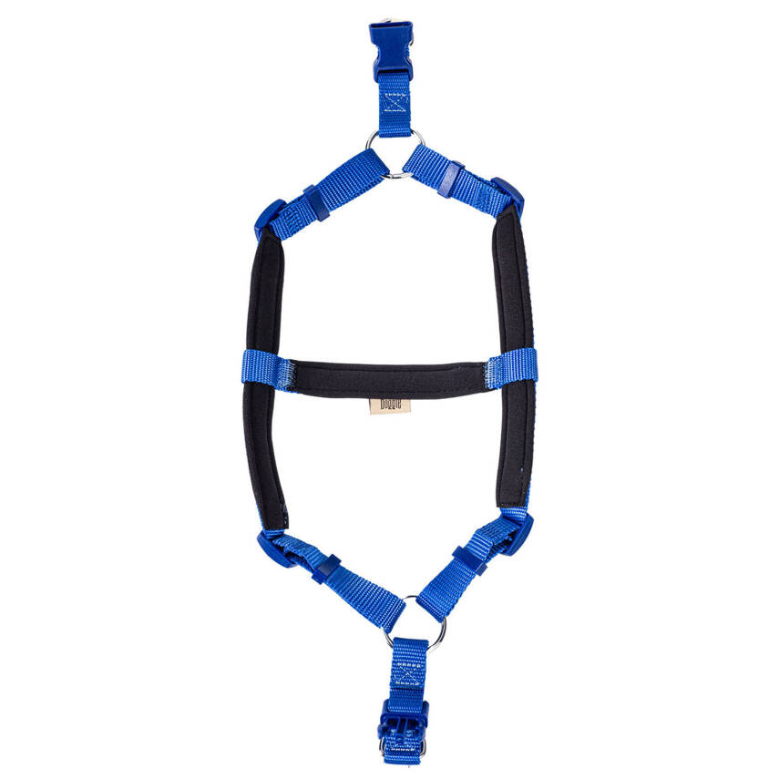 Savex Köpek Ronin Model Göğüs Gezdirme Tasması - Royal Mavi Renk - Konforlu - 2
