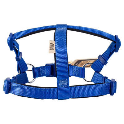 Savex Köpek Ronin Model Göğüs Gezdirme Tasması - Royal Mavi Renk - Konforlu - 3