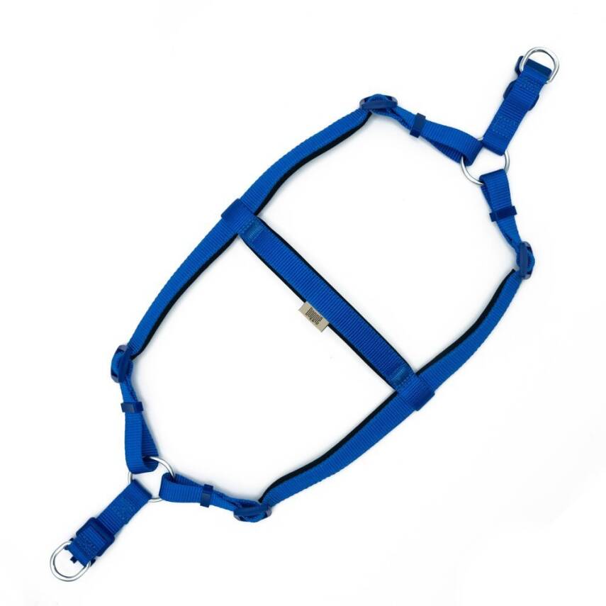 Savex Pet Köpek Ronin Göğüs Gezdirme Tasması - Mavi Renk - 2