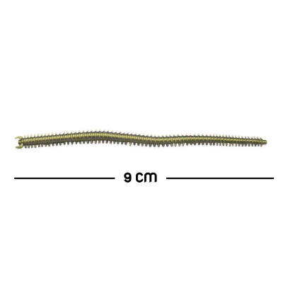 Silikon Kurt Balık Yemi - Kokulu - Silkworm - Yeşil - Power Bait (9951) - 2