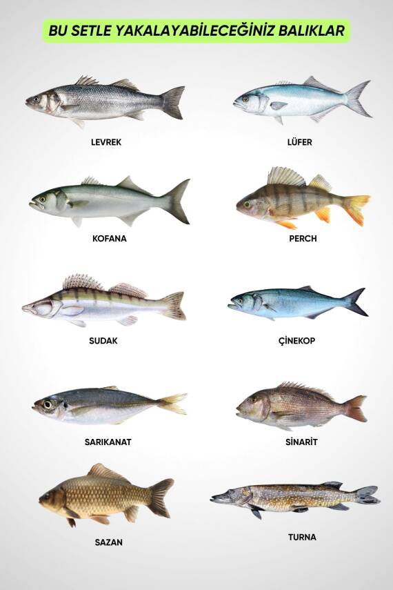 Spin At-Çek Deniz ve Göl Profesyonel Olta Seti Takımı - M - 1.50MT / 10-30GR - 42 Parça Elite - 6