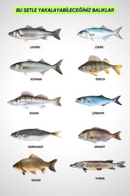 Spin At-Çek Deniz ve Göl Profesyonel Olta Seti Takımı - XL - 2.10MT / 10-30GR - 42 Parça Elite - 6