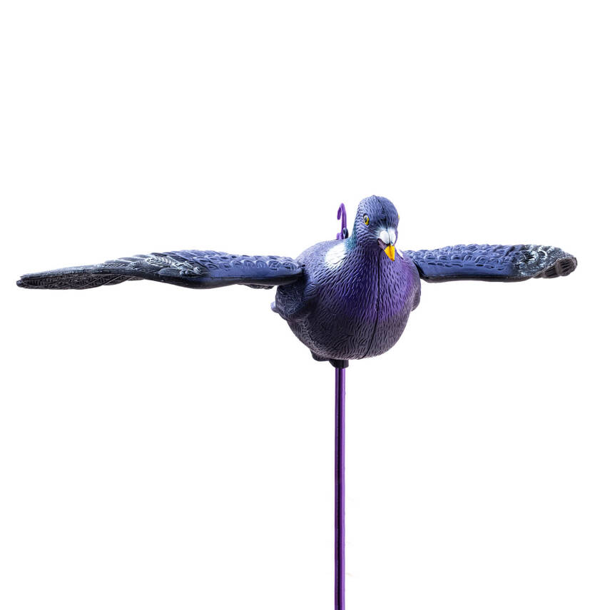 Tahtalı Güvercin Mühresi - Kanatlı - Gerçekçi Tasarım 3 Boyutlu - 5