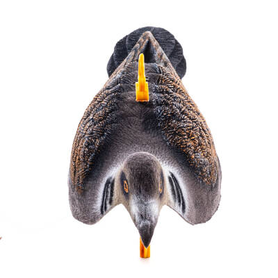 Üveyik Mühresi - Yaprak - Tüylü - Gerçekçi Tasarım - Savage - HDD 011-2R U - 3