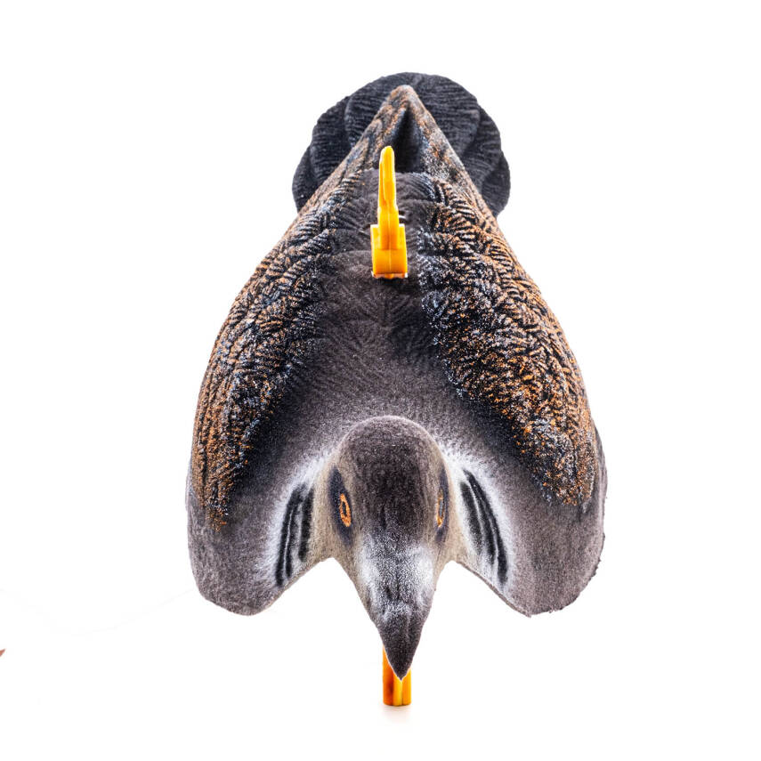 Üveyik Mühresi - Yaprak - Tüylü - Gerçekçi Tasarım - Savage - HDD 011-2R U - 3