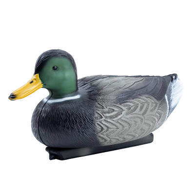 Yeşil Baş Erkek Ördek Mühresi - Büyük Boy Yüzen Model - 2